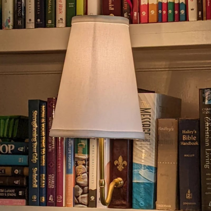 Buchlicht™ | Vintage Leselampe